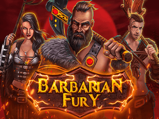 Barbarian Fury game cover